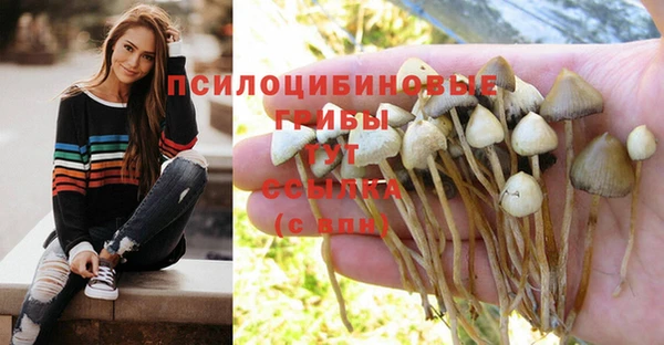 ПСИЛОЦИБИНОВЫЕ ГРИБЫ Абдулино
