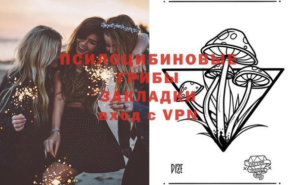 ПСИЛОЦИБИНОВЫЕ ГРИБЫ Абдулино